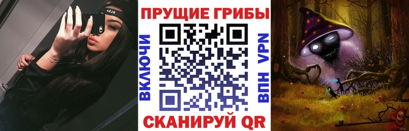 Галлюциногенные грибы Psilocybine cubensis  Наволоки 